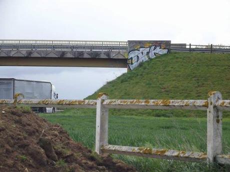 14089515_1753706978202476_65666357_n