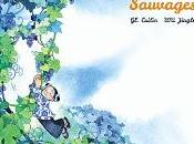 [7BD] raisins sauvages