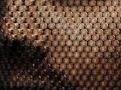 [Critique] NARCOS Saison