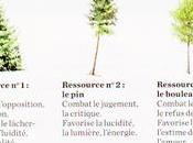 L'énergie arbres avec Patrice Bouchardon