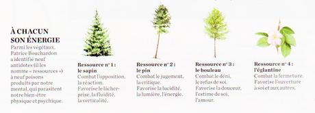 L'énergie des arbres avec Patrice Bouchardon