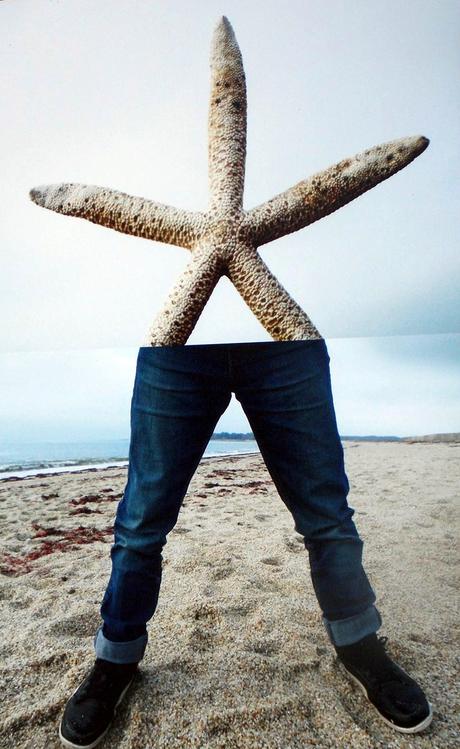 du vent et des voiles