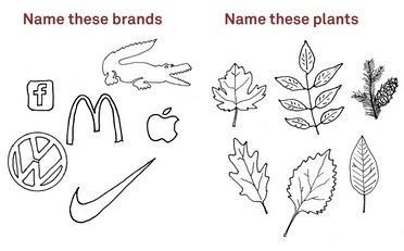 power-of-branding-positioning