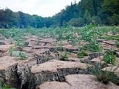 sud-ouest France éprouve sécheresse jamais depuis cinquante