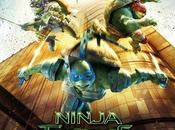 Cinéma Ninja Turtles, critique