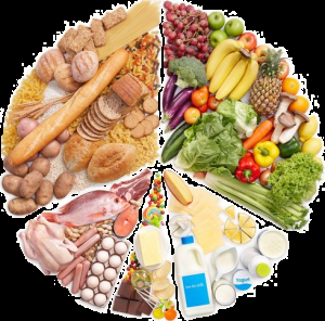 Les 415 Recettes Dukan