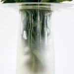 Vase Fall la fleur en valeur par Rémi Casado Vase-Fall-fleur-valeur-Rémi-Casado-1