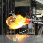 Vase Fall la fleur en valeur par Rémi Casado Vase-Fall-fleur-valeur-Rémi-Casado-13