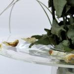 Vase Fall la fleur en valeur par Rémi Casado Vase-Fall-fleur-valeur-Rémi-Casado-5