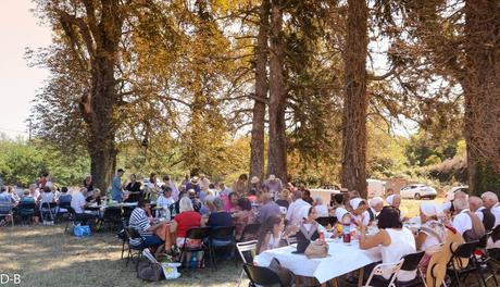 14310523_1093922397322354_5482308845055772999_o