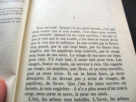 L'Avalée Des Avalées