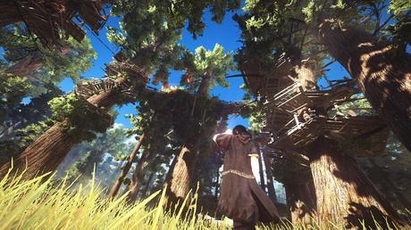 Black Desert Online : Offre de réduction à 9,99€ pour une durée limitée Black Desert Online paysage environnement 4