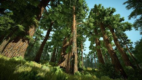 Black Desert Online : Offre de réduction à 9,99€ pour une durée limitée Black Desert Online paysage environnement