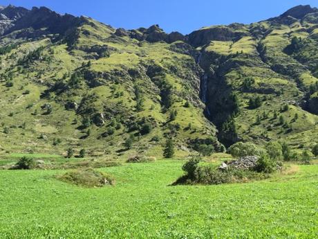 Marmottes dans les Écrins #05