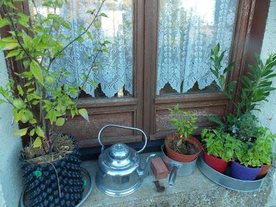 Cultivez les légumes du soleil sur votre terrasse !