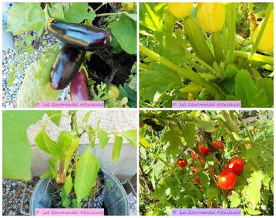 Une Ratatouille dans les règles de l'art (Vegan)