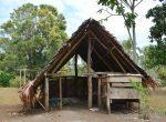 Vanuatu #7 – Le bonheur est dans le village de Botco