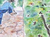 dérapages d'Alizé masculin, féminin, sexe mots. mur, mûre.