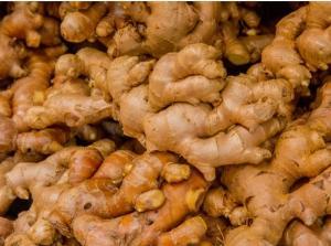 CANCER du CÔLON: Du gingembre pour une livraison thérapeutique ciblée – Molecular Therapy