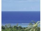 Maurice oasis investisseurs