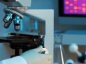 DÉPRESSION: Découverte d'un petit responsable grands effets Neuropsychopharmacology