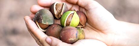 Les bienfaits du chocolat !