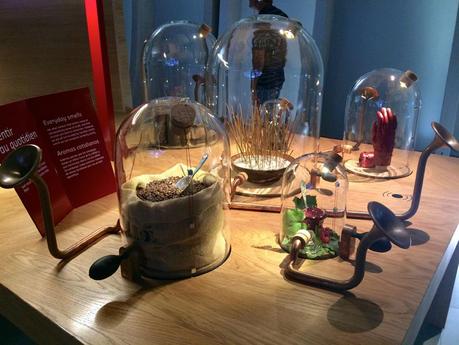 buffet-5-sens-cite-du-vin-bordeaux1-charonbellis