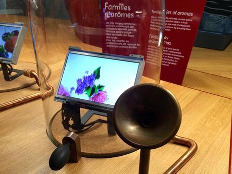 buffet-5-sens-cite-du-vin-bordeaux2-charonbellis