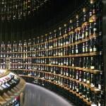 A la découverte de la Cité du Vin