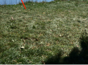 Instagram enregistrez photos comme brouillon publiez-les plus tard