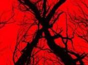 [Critique] BLAIR WITCH