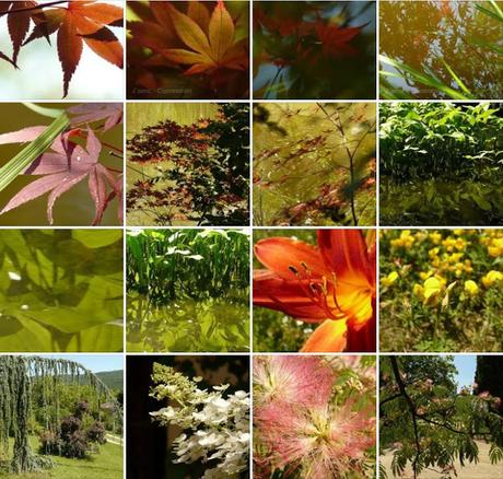 Méditation avec Arnaud Desjardins