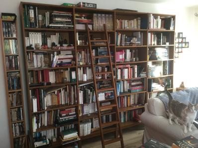 bibliotheque-histoire