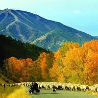 Où en est donc Sun Valley, en Idaho !