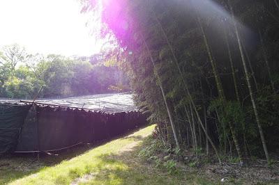 Gyokuro de Uji 2016 Gyokuro de Uji 2016