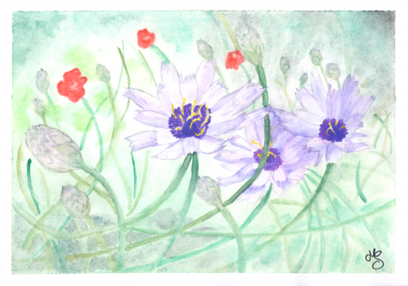 aquarelle, watercolor, peinture, painting, flowers, fleurs, wild, sauvage