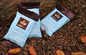 bienfait chocolat cru