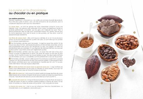 Faire son chocolat cru maison & les bienfaits du cacao cru ✩