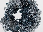 illustrations experiment R4dn Studio