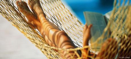 Où et Quand Partir ?  Climat & Météo voyage, Budget, Prix des vols