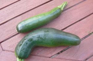Gratin de courgettes express