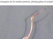 Ecuries Rivaulde Sologne Octobre 2016