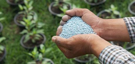 Vers une famine planétaire ? Vers une famine planétaire ?