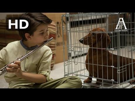 Image de prévisualisation YouTube