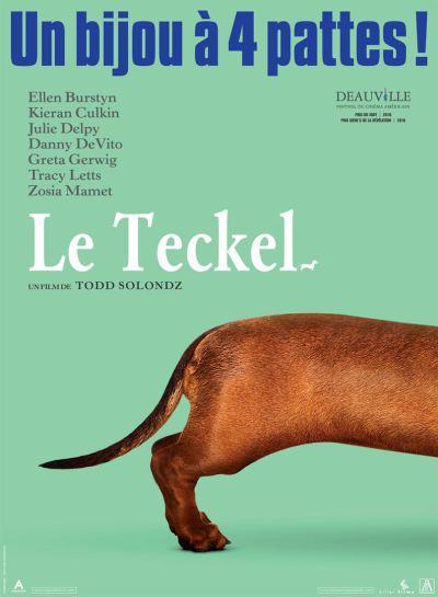 teckel affiche