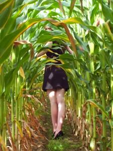 « Ah ! La senteur des champs de maïs » sur Bernay-radio.fr….