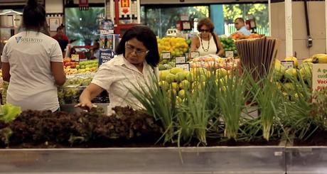 Ce supermarché propose un potager alors si vous souhaitez des légumes ou des fruits, il va falloir les cueillir