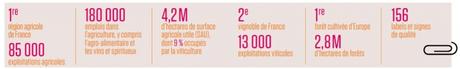 La Nouvelle-Aquitaine lance un plan régional pour réduire durablement l’utilisation des pesticides dans l’agriculture.