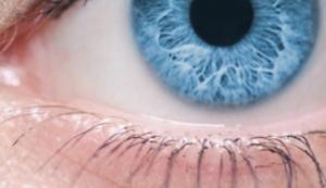 FIBROMYALGIE: L’Oeil une fenêtre de diagnostic par test ophtalmologique classique  – PLoS ONE