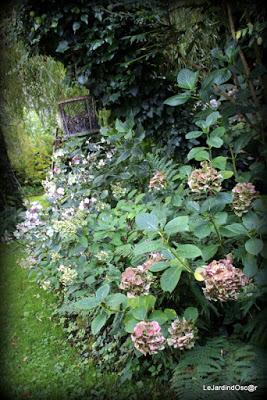 Jardin d'automne...